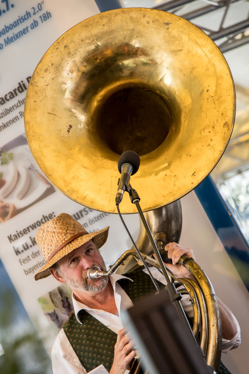 A Das Jazzbüro musician in concert